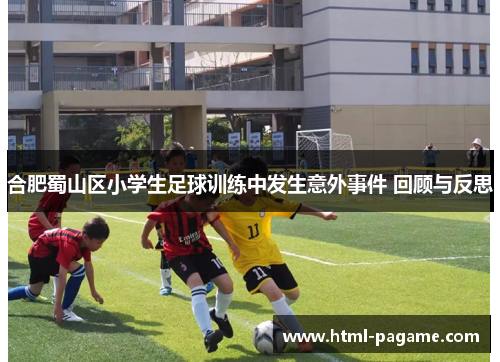 合肥蜀山区小学生足球训练中发生意外事件 回顾与反思