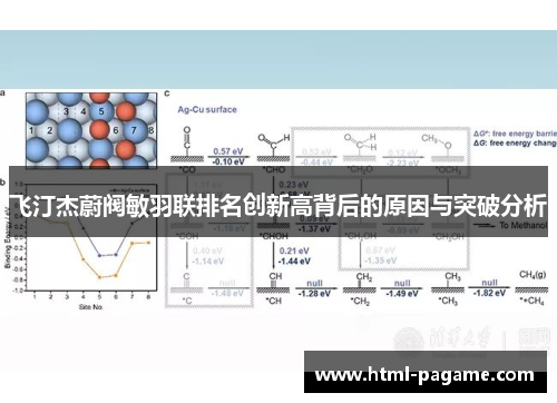 飞汀杰蔚阀敏羽联排名创新高背后的原因与突破分析