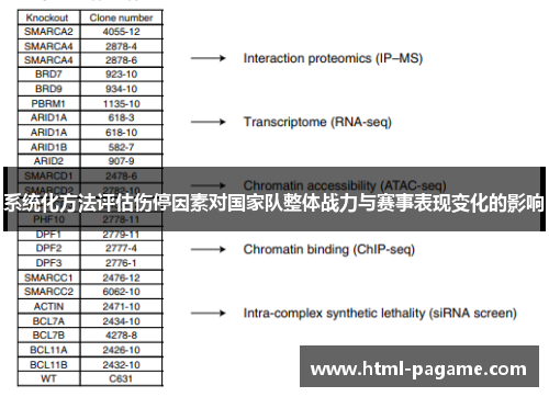 系统化方法评估伤停因素对国家队整体战力与赛事表现变化的影响 系统化方法评估伤停因素对国家队整体战力与赛事表现变化的影响