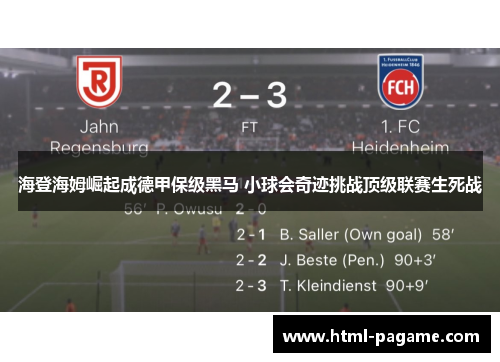 海登海姆崛起成德甲保级黑马 小球会奇迹挑战顶级联赛生死战